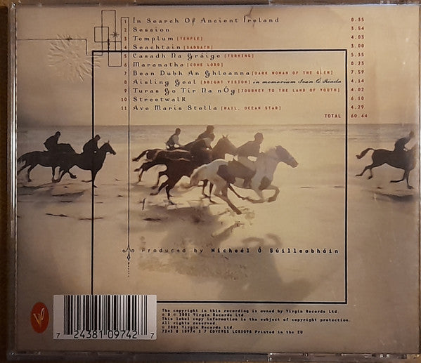 Mícheál Ó Súilleabháin Featuring Irish Chamber Orchestra And National Chamber Choir Of Ireland : Templum (CD, Album)