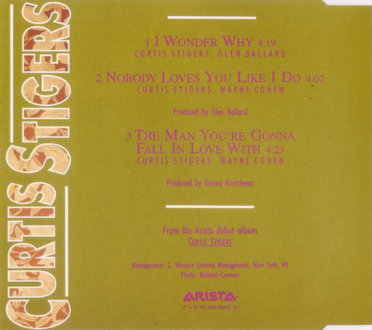 Curtis Stigers : I Wonder Why (CD, Maxi)