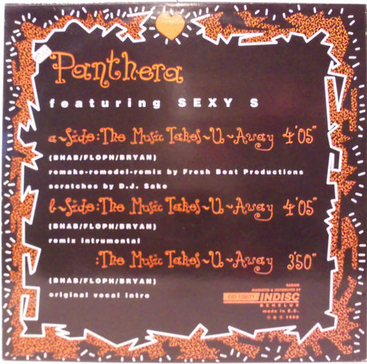 Panthera (2) Featuring Sexy S : Music Takes You Away (Remake-Remodel-Remix) (12")