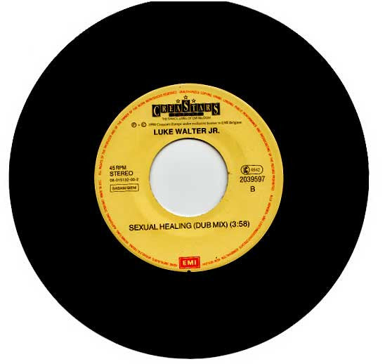 Luke Walter Jr. : Sexual Healing (7", Single)