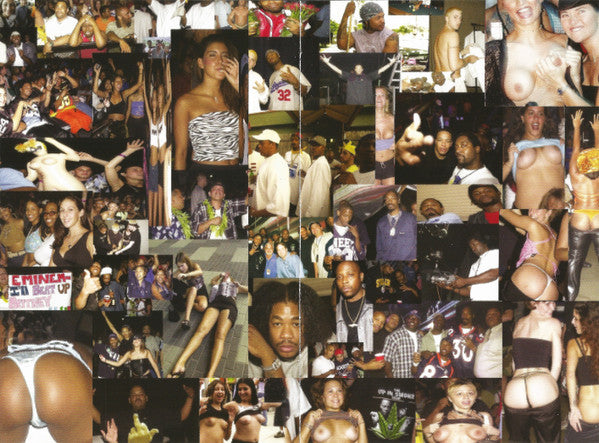 Various : The Up In Smoke Tour (DVD-V, PAL)