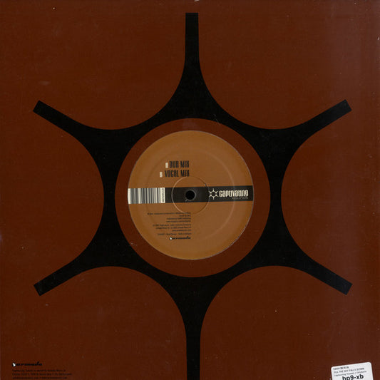 Dash Berlin : Till The Sky Falls Down (12")