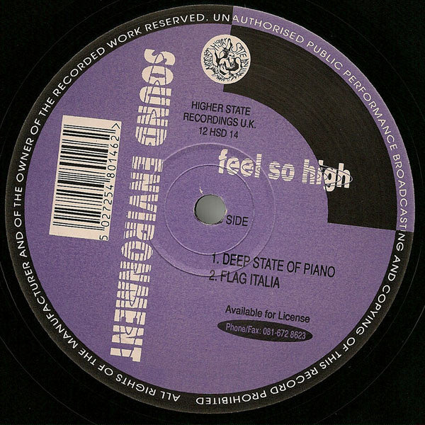 Sound Environment : Feel So High (12")
