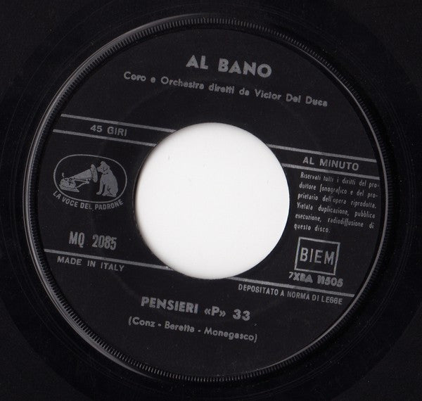 Al Bano Carrisi : Nel Sole / Pensieri "P" 33 (7")