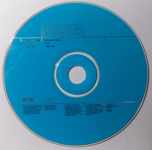 Josh Wink : Are You There... (CD, Single, Car)