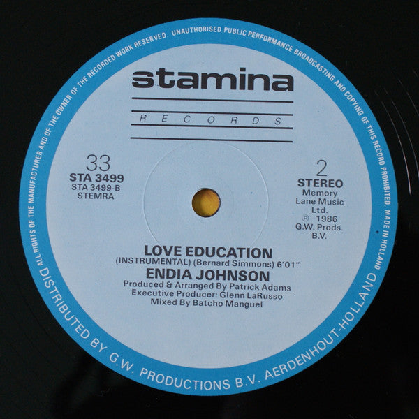 Endia Johnson : Love Education (12")