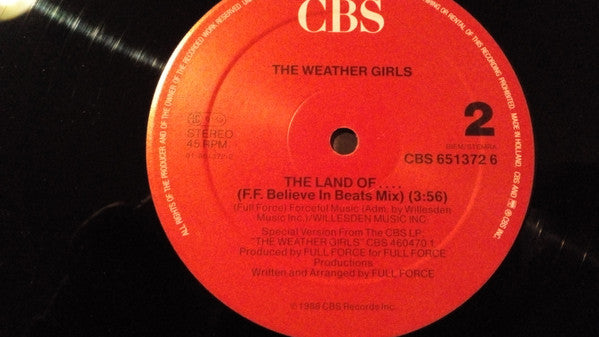 The Weather Girls : The Land Of The Believer (12", Maxi)