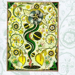 Steve Earle : I Feel Alright (CD, Album)