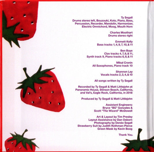 Ty Segall : First Taste (CD, Album)
