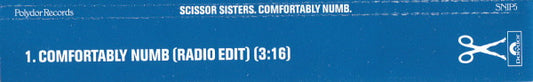 Scissor Sisters : Comfortably Numb (CD, Single, Promo)