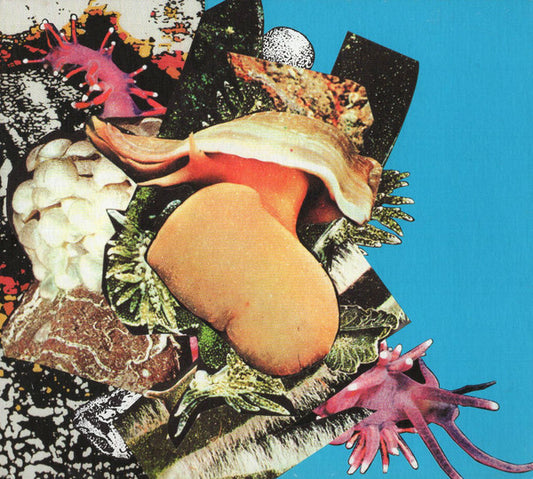The Faint : Fasciinatiion (CD, Album)