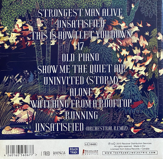 The Franklin Electric : "This Is How I Let You Down" (CD, Album)