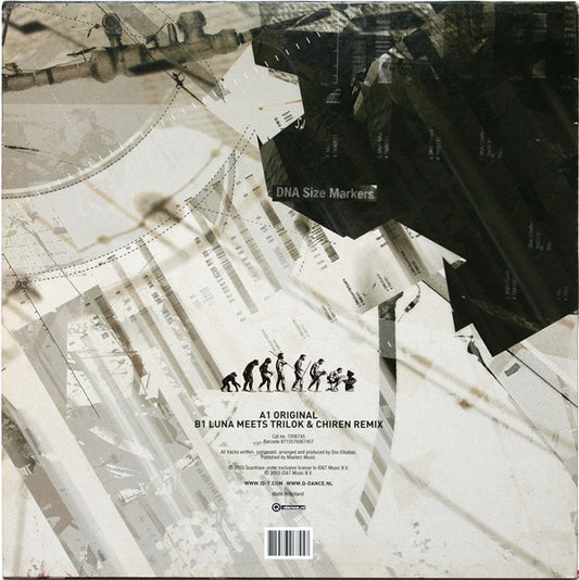 The Prophet : Follow The Leader (12")