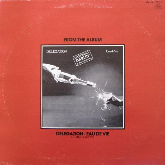 Delegation : Put A Little Love On Me / You And I (12")