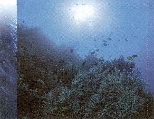 Dan Gibson : Dolphin Dreams (CD, Album, Enh, Dol)