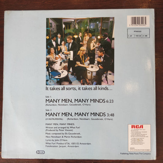 What Fun! : Many Men Many Minds (12")