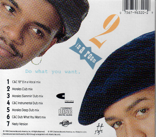 2 In A Room : Do What You Want (CD, Maxi)