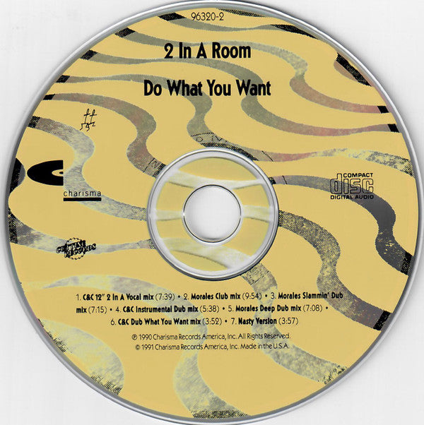 2 In A Room : Do What You Want (CD, Maxi)