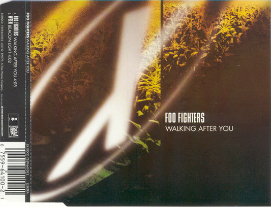 Foo Fighters : Walking After You (CD, Single)