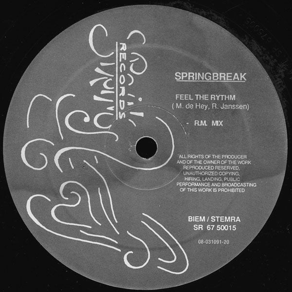 DJ Mac (3) & DJ Rob : Feel The Rythm (12")