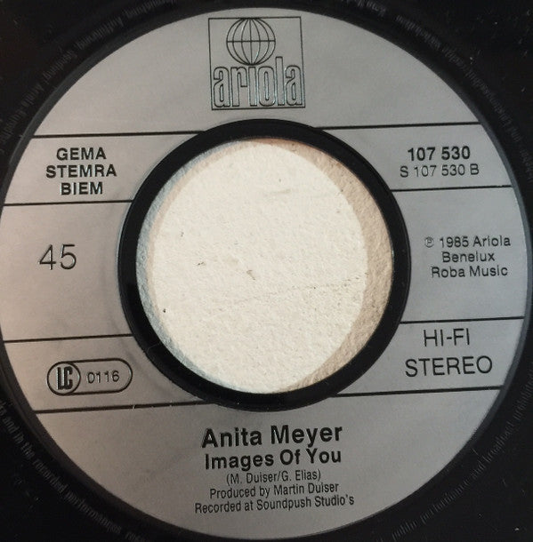 Anita Meyer : The Story Of A New Born Love (7", Single)