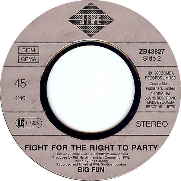 Big Fun : Hey There Lonely Girl (7", Single)