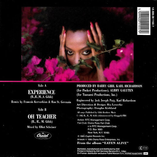 Diana Ross : Experience (7")