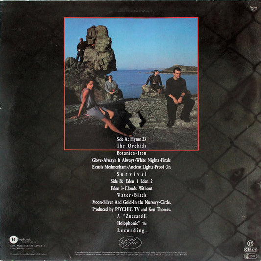 Psychic TV : Dreams Less Sweet (LP, Album)