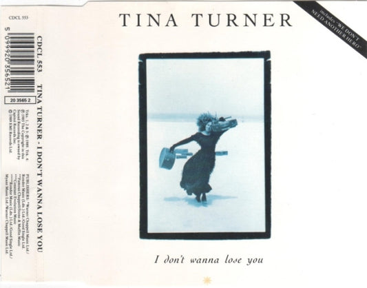 Tina Turner : I Don't Wanna Lose You (CD, Single)