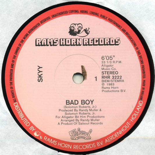 Skyy : Bad Boy (12", Single)