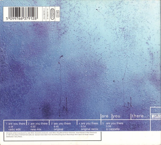 Josh Wink : Are You There... (CD, Maxi, Dig)