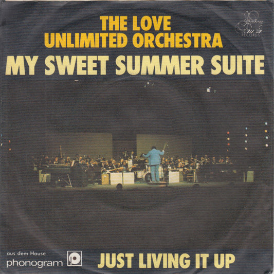 Love Unlimited Orchestra : My Sweet Summer Suite (7", Single)