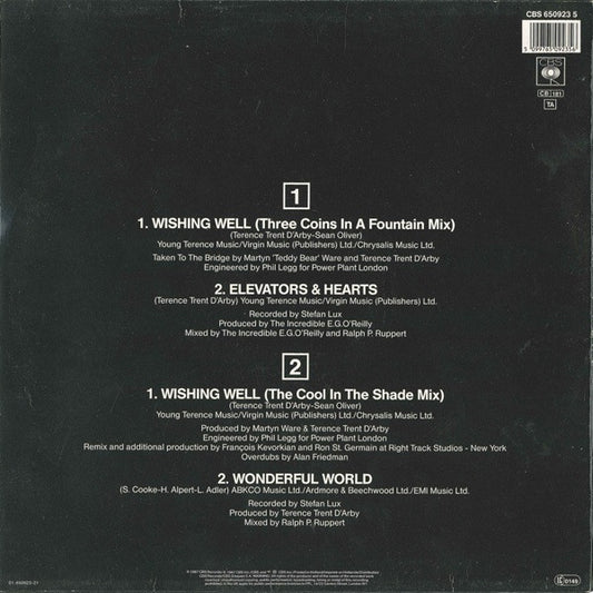 Terence Trent D'Arby : Wishing Well (12", Maxi)