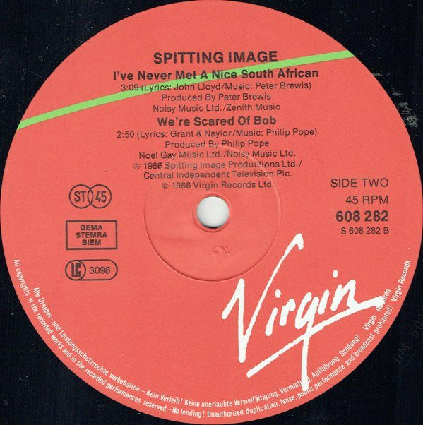 Spitting Image : The Chicken Song (12")