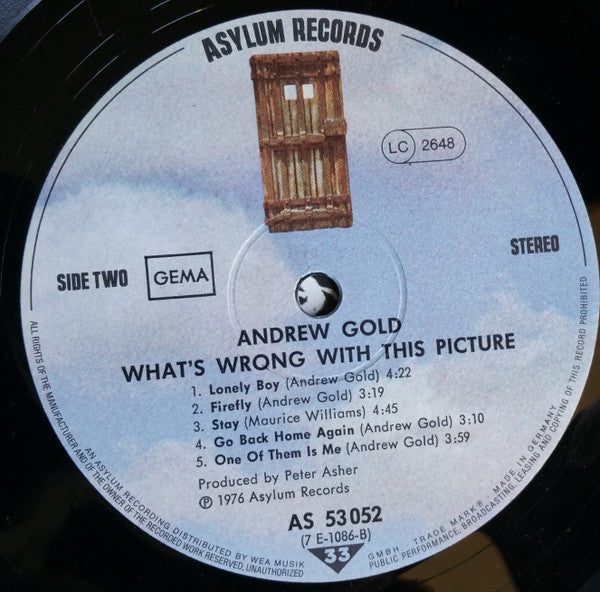 Andrew Gold : What's Wrong With This Picture? (LP, Album)
