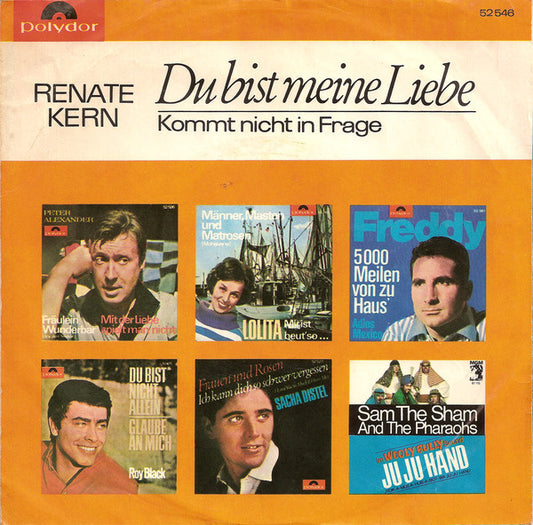 Renate Kern : Du Bist Meine Liebe / Kommt Nicht In Frage (7", Single)
