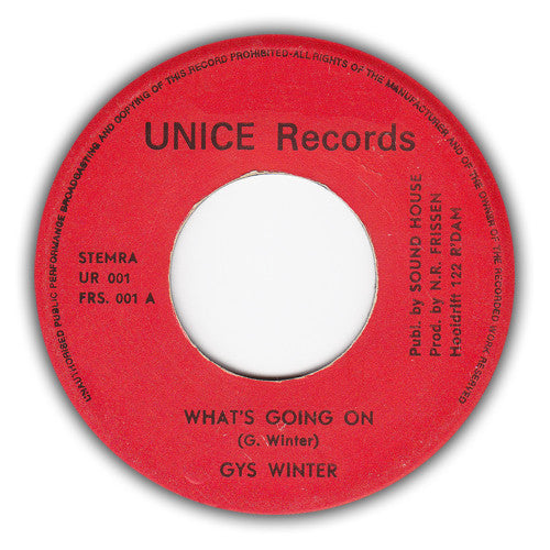 Gijs Winter : What's Going On (7")