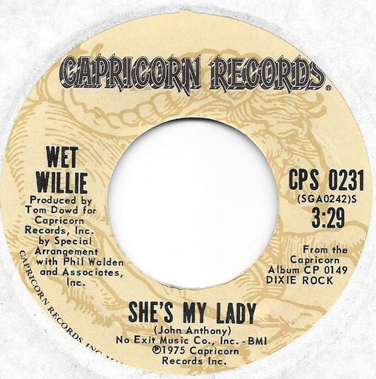 Wet Willie : Dixie Rock / She's My Lady (7")