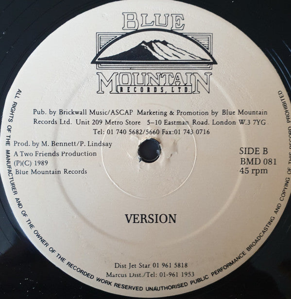 Brian & Tony Gold & Chevelle Franklyn : Special Christmas (12")