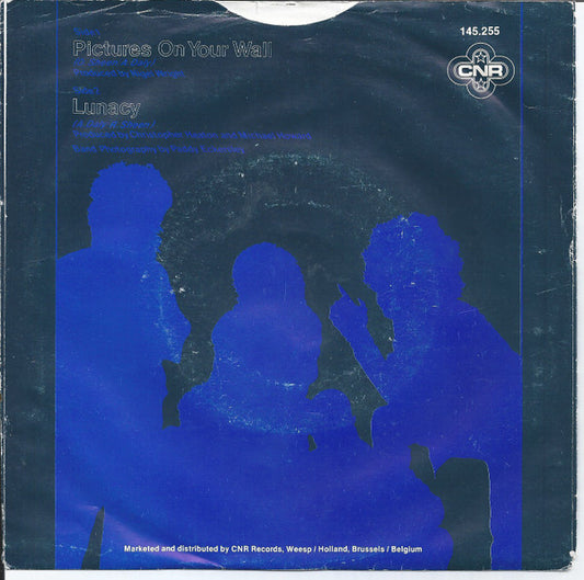 National Pastime : Pictures On Your Wall (7")