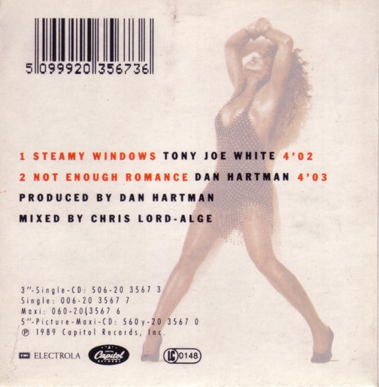 Tina Turner : Steamy Windows (CD, Mini)