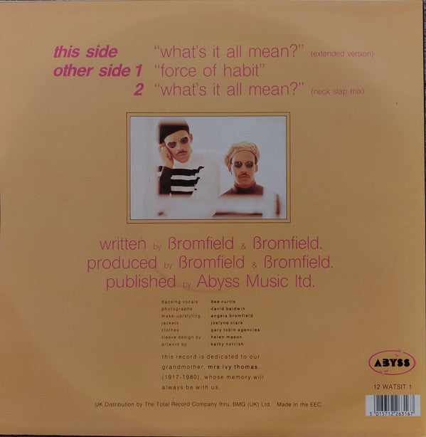 Over 2 U : What's It All Mean? (12")