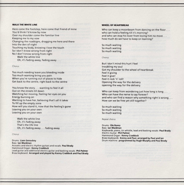Paul Brady : Back To The Centre (CD, Album)