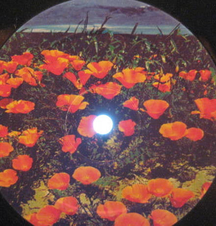 Putsch : Three Lives Of The Marionette (12")