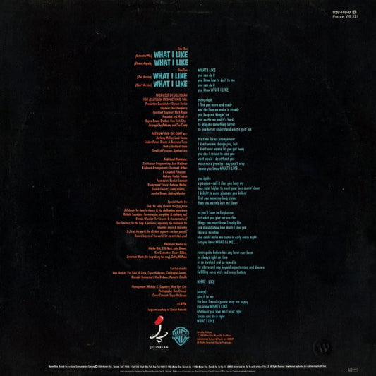 Anthony And The Camp : What I Like (12")