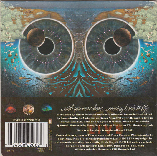 Pink Floyd : Wish You Were Here (CD, Single, Car)
