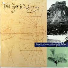 Poi Dog Pondering : Wishing Like A Mountain And Thinking Like The Sea (CD, Album)
