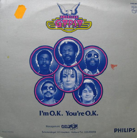 American Gypsy : I'm O.K. You're O.K. (12", Maxi)