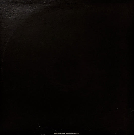 2HD : Sunflakes (Remixed) (12")