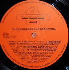 The Raindrop Singers And Orchestra : Zij Zingen En Spelen (LP)